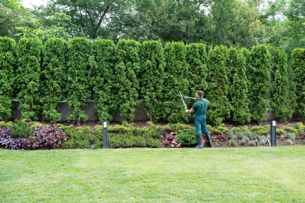 Best Lawn Irrigation Installation and Maintenance  in Monon, IN